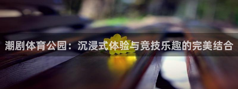 柠檬直播体育足球：潮剧体育公园：沉浸式体验与竞技乐趣的完美结合